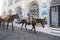 Mules and conductors in Fira Santorini, Greece