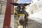 The mules of Fira in Santorini in Greece