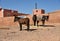 Mules, Moroccan lifestyle