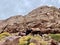 Mules at Toubkal National Park, High Atlas Mountains, Morocco.