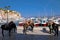 Mules waiting for tourists in the port of Hydra island