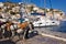 Mules waiting for tourists in the port of Hydra island