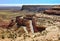 Muley Point and Money Dugway