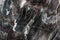 Mulicolored dark natural marble. Background of natural stone.