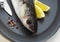 Mullet, chelon labrosus, Fresh Fishe on Plate with Lemon