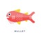 Mullet, sea fish geometric flat style design vector Illustration