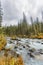 Multa river, Altai mountains autumn landscape