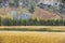 Multa river. Altai mountains autumn landscape