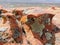 Multi color and types Crustose Lichen or algae on a desert sandstone boulder in Southwestern Utah, USA near St. George