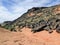 Multi color and types Crustose Lichen or algae on a desert sandstone boulder in Southwestern Utah, USA near St. George