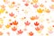 Multi colored autumn leaves background