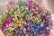 Multi-colored bunch of gypsophila