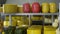 Multi-colored cheeses of different grades on shelves. Scene. Cheese wheels on a shelf. Heads of natural organic homemade