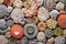 multi-colored collection of fossilized coral