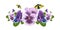 Multi-colored delicate pansies. Flowers and butterflies. Horizontal banner. Watercolor illustration on isolated white