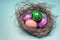 multi-colored easter eggs decorative nest, easter concept on blue background