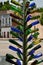 Multi-colored glass bottle tree