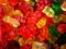 Multi Colored Gummi Bears