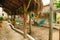 Multi-colored hammocks and swing among palm trees at the hotel