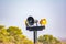 Multi-colored loudspeaker and blue sky. Three loudspeakers in nature