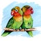 Multi-colored parrots lovebirds drawing markers