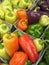 Multi-colored peppers at farmers\' market