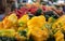 Multi-colored pile of bell peppers at farmer\'s market