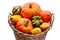 Multi-colored pumpkins in a large basket. Isolate on white background