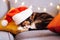 Multi Colored relaxed sleeping cat lying on the bright cushions on a gray sofa in a Santa& x27;s hat. Christmas cosy home