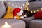 Multi Colored relaxed sleeping cat lying on the bright cushions on a gray sofa in a Santa& x27;s hat. Christmas cosy home