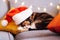 Multi Colored relaxed sleeping cat lying on the bright cushions on a gray sofa in a Santa`s hat. Christmas cosy home mood. Winter