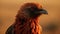 Multi colored rooster close up portrait showcases feather beauty in nature generated by AI