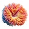 multi-colored sea corals, tentacles, detailed photo, isolated, cut out