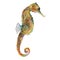 Multi-colored seahorse. Hippocampus. Watercolor illustration, colored with crayons. Isolated