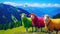 Multi-colored sheep, green pastures on blurred background