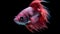 Multi colored siamese fighting fish swimming in a dark fish tank generated by AI