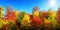 Multi-colored trees in autumn\'s best weather