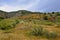 Multi Coloured Greek Rural Spring Landscape, Greece