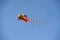 Multi coloured kite flying high