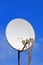 Multi-feed satellite antenna with multiple feeds converters closeup on blue sky, telecommunication diversity,