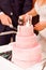 Multi level pink wedding cake