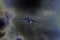 Multi-purpose four-engine turbofan strategic airliner flies in a stormy sky