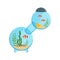 Multi-room aquarium in round shape with decorative fishes, stones, shell and different algae on sand. Underwater world