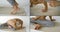 Multi-shot of a male yogi who is engaged in acrobatic yoga. He is bald, with a beard, has a naked, strong torso, and is