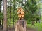 Multi-storey wooden carved birdhouse on a tree stump, a feeder for birds
