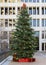 Multi-story Christmas tree on McDermott Plaza, University of Texas at Dallas Southwestern Medical School
