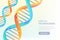 Multicolor 3d DNA on white background. Medical technology, biotechnology, science research concept. Vector illustration