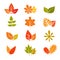 Multicolor autumn leaves flat vector icons. Fall feuille leaf collection