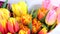 Multicolor bouquet or set of various fresh tulips