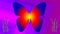 Multicolor butterfly with gradient background